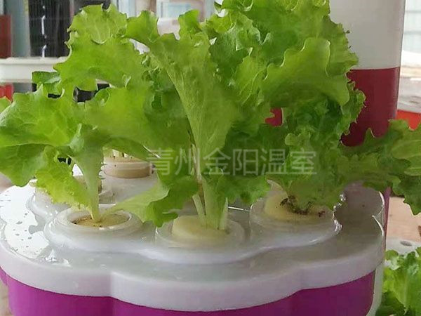 微信图片_20190116161333.jpg