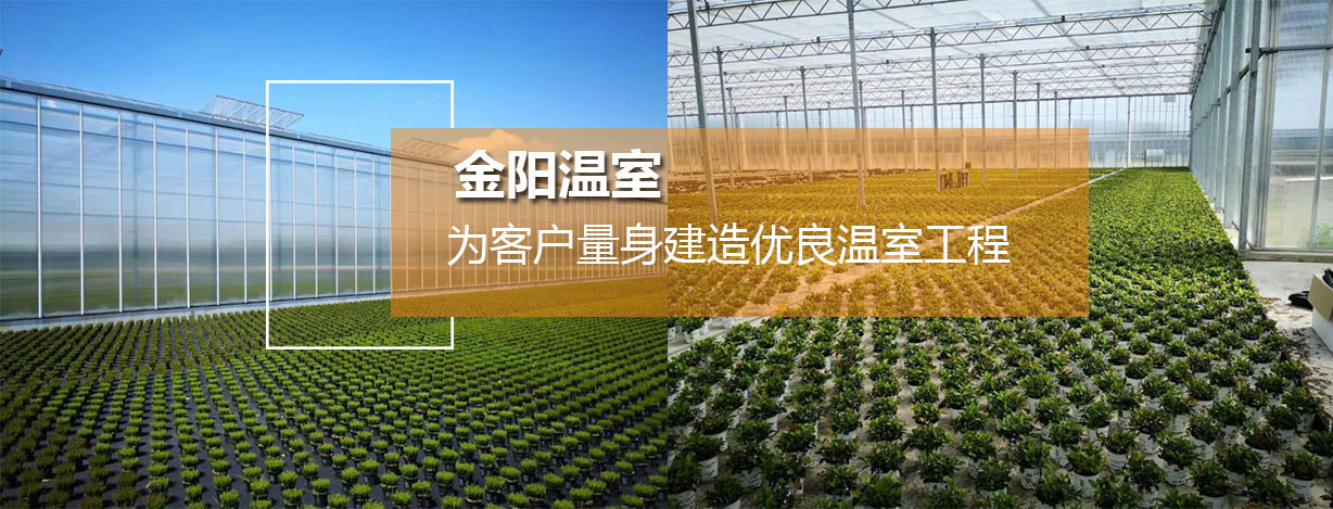 青州市金阳温室工程有限公司
